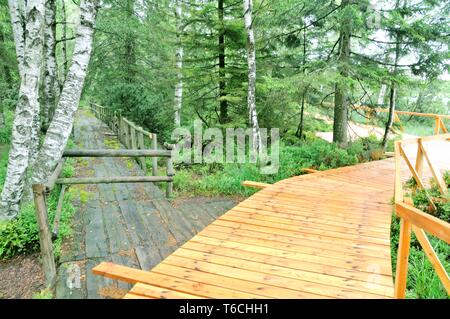 Nuova passerella a Wildssee Kaltenbronn Schwarzwald Germania Foto Stock