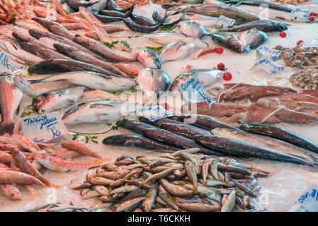 Il pesce fresco e i frutti di mare visto in un mercato di Palermo, Sicilia Foto Stock