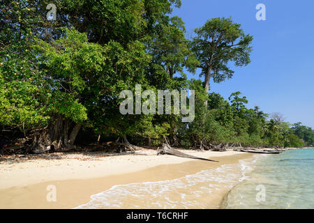 Vergine Lalaji spiaggia di Long Island, Andaman e Nicobar, India Foto Stock