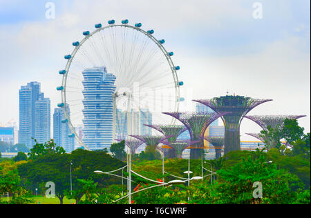 Singapore Flyer e giardino Foto Stock