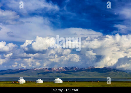 Pascoli tradizionali in alta montagna del Kirghizistan. Tre yurta sono situati sulla riva del Song Kol Foto Stock