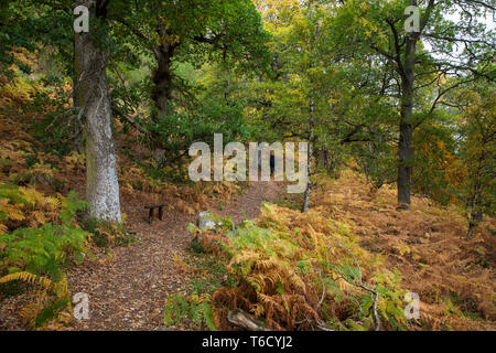 Craigendarroch;; a Ballater Scozia - UK Foto Stock