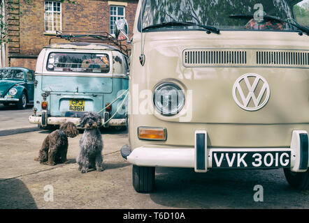 Cani su porta accanto a un 1969 Volkswagen camper van. Bicester Heritage Centre 'Drive giorno'. Bicester, Oxfordshire, Inghilterra. Vintage filtro applicato Foto Stock