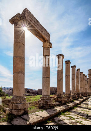 Colonnato Street o Cardo, Jerash Jerash, Governatorato, Giordania Foto Stock