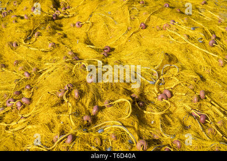 Close up di un giallo Tutina in rete con galleggianti di colore rosso Foto Stock