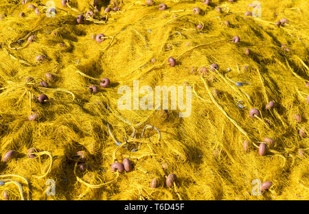 Close up di un giallo Tutina in rete con galleggianti di colore rosso Foto Stock