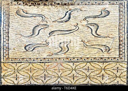 Il Marocco Volubilis mosaico delfini Foto Stock