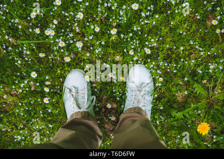 Vista superiore gambe in scarpe di bianco sull'erba con fiori bianchi. spazio copia Foto Stock