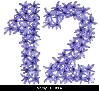 Il numero di riferimento 12, dodici, da fiori naturali di giacinto, isolati su sfondo bianco Foto Stock