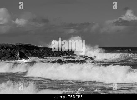 Le onde del mare Foto Stock