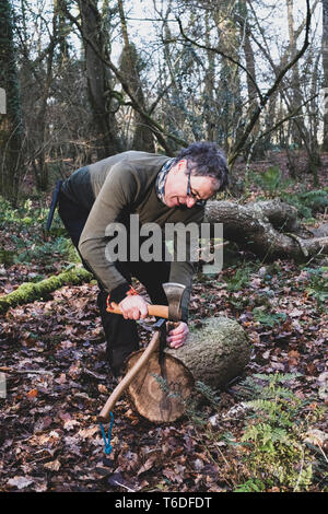 Uomo in piedi nella foresta, utilizzando ax e ascia di guerra per dividere tronco di albero. Foto Stock