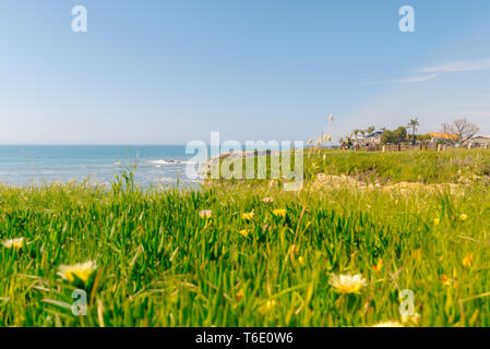 Grotte Dinosaur Park | Pismo Beach, CA Foto Stock