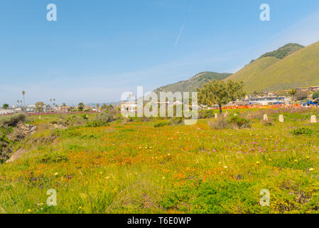 Grotte Dinosaur Park | Pismo Beach, CA Foto Stock