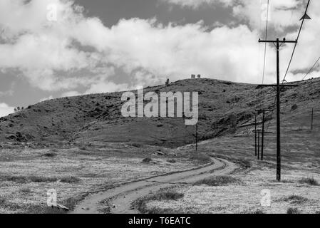 Strada sterrata che conduce attraverso i campi di fiori selvatici verso le colline al di là sotto il cielo con nuvole bianche. In bianco e nero. Foto Stock