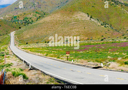 Strada di campagna che conduce attraverso prati e campi da verdi montagne al di là. Foto Stock
