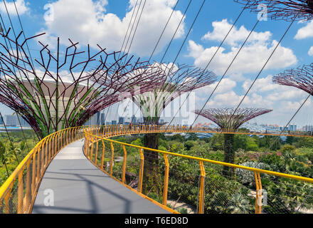 La OCBC Skyway, una passerella aerea nel Supertree Grove, giardini dalla baia, città di Singapore, Singapore Foto Stock