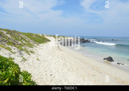 Spiaggia di sabbia bianca - Hawaii Foto Stock