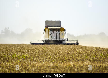 Trebbiatrici mietitrebbia. Macchine agricole. Foto Stock