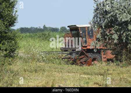 Vecchio arrugginito mietitrebbia. Foto Stock