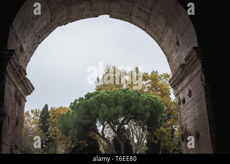 Vista esterna dal Colosseo a Roma Italia Foto Stock