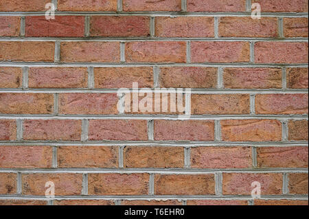 CROPP Foto Stock