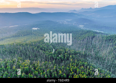 Scenic tramonto sulle montagne con la strada che passa attraverso la foresta in Australia - vista aerea Foto Stock