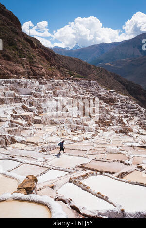 Lavoratore a di proprietà di una famiglia di sale-evaporazione stagni di Maras miniere della Valle Sacra, regione di Cusco, Perù Foto Stock