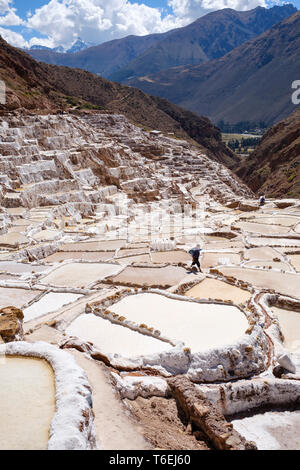 Lavoratore a di proprietà di una famiglia di sale-evaporazione stagni di Maras miniere della Valle Sacra, regione di Cusco, Perù Foto Stock