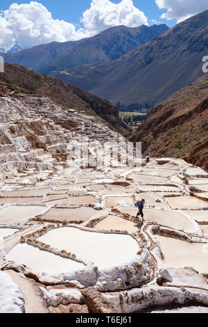 Lavoratore a di proprietà di una famiglia di sale-evaporazione stagni di Maras miniere della Valle Sacra, regione di Cusco, Perù Foto Stock