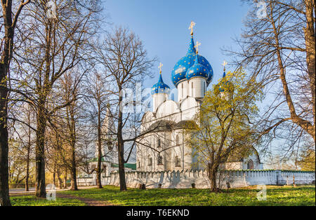 Cremlino di Suzdal, Russia. Anello in oro della Russia. Foto Stock