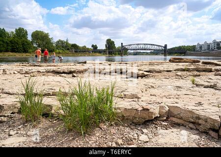 Passeggini sul Cathedral-Rock a Magdeburgo Foto Stock