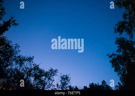 Il tramonto e la notte cielo blu scuro in foresta Foto Stock