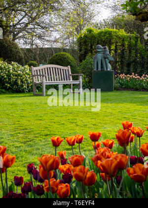 Chenies Manor Gardens in aprile, verticale con lo zucchero di canna tulipani in primo piano; panca in legno sedile e dorme statua, a graticcio e prato soleggiato. Foto Stock