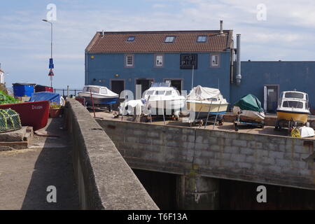 A est del molo Smokehouse Cafe e ristorante, blu affascinante caffetteria su una giornata d'estate. St Monans villaggio di pescatori in East Neuk, Fife, Scozia, Regno Unito. Foto Stock