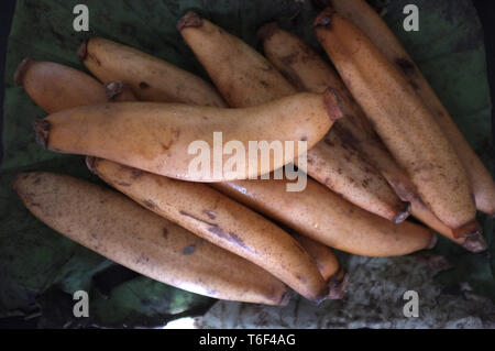 Materie organiche radice Lotus pronto a cucinare , Thai materie snack Foto Stock