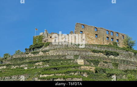 Rovina del castello Staufen im Breisgau Foto Stock