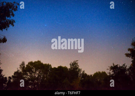 Il tramonto e la notte cielo blu scuro in foresta Foto Stock