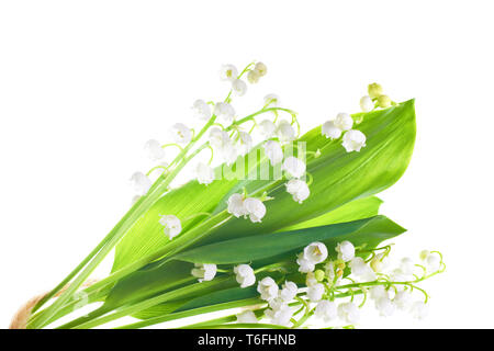 Gigli della valle Foto Stock