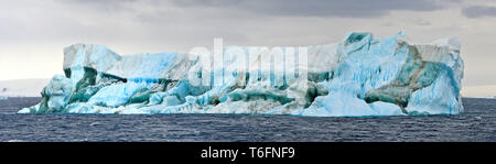 Iceberg tabulari a Charlotte Bay, Antarctic-Sund, Antartico Foto Stock