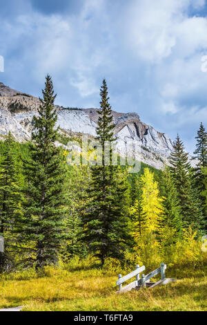 Piccolo ponte in legno sul torrente Foto Stock