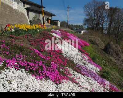 Giardini A Saku, Giappone Foto Stock