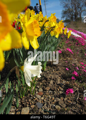 Giardini A Saku, Giappone Foto Stock
