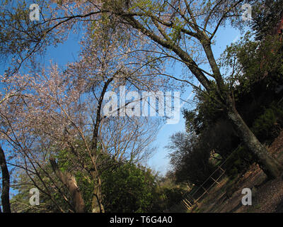 Giardini A Saku, Giappone Foto Stock