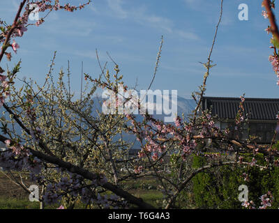 Giardini A Saku, Giappone Foto Stock