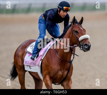 Louisville, Kentucky, Stati Uniti d'America. 30 apr, 2019. Bellafina, addestrati da Simon Callaghan, esercizi in preparazione per il Kentucky Oaks a Churchill Downs a Louisville, Kentucky on April 30, 2019. Credito: csm/Alamy Live News Foto Stock