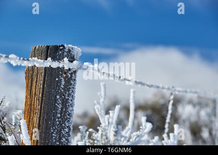 Paesaggio con brina sulla riga Foto Stock
