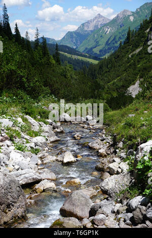 Torrente alpino, paesaggio alpino, Austria Vorarlberg, Foto Stock