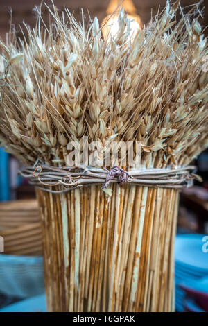 Spikelets del mucchio di grano sul display Foto Stock