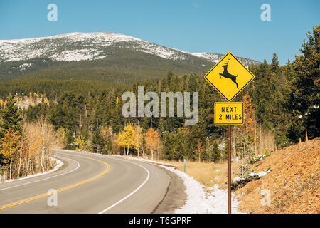 Attraversamento di cervi segno sulla autostrada di autunno Foto Stock