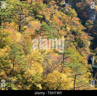 Naruko Gorge Miyagi Tohoku Giappone Foto Stock